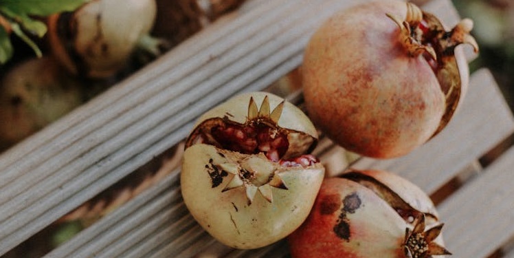 INDIVIDUAL 30-DAY COACHING